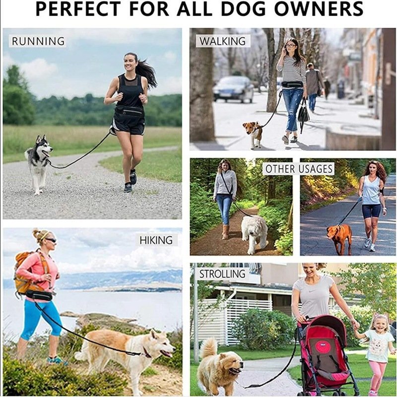 Hands Free Dog Leash Pet Walking And Training Belt With Shock Absorbing Bungee Leash For Up To 180lbs Large Dogs Phone Pocket And Water Bottle Holder - Image 2