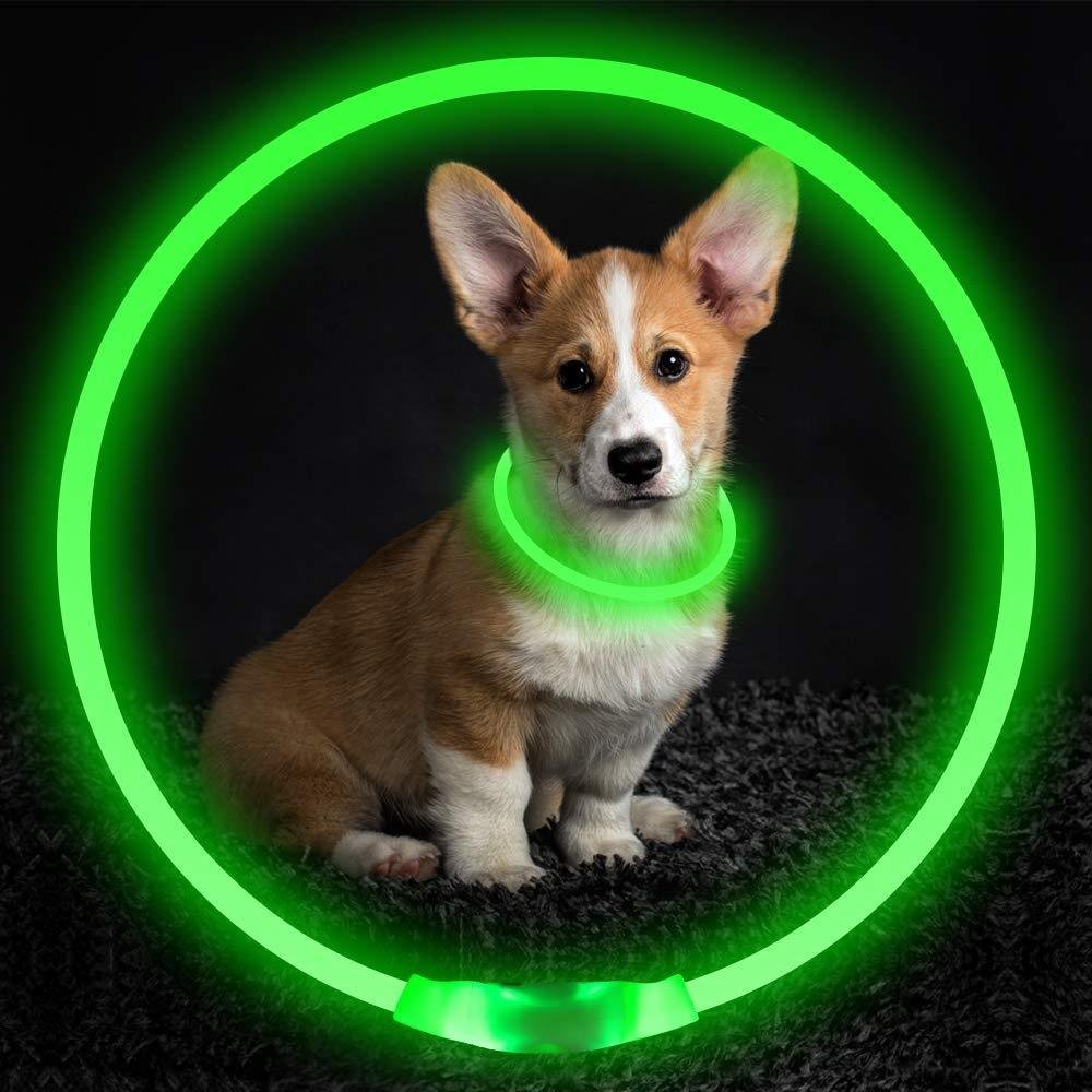 Pet Flashing Collar USB Rechargeable Glowing Necklace Safety Collar Light Up Collars For Night Walking Electric Dog Collar Neon - Image 2