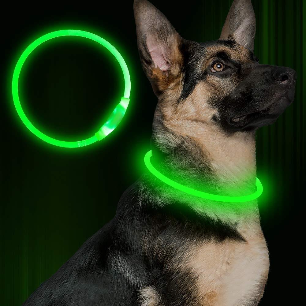 Pet Flashing Collar USB Rechargeable Glowing Necklace Safety Collar Light Up Collars For Night Walking Electric Dog Collar Neon - Image 3
