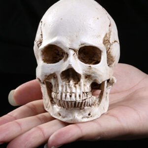 Resin skull ornament